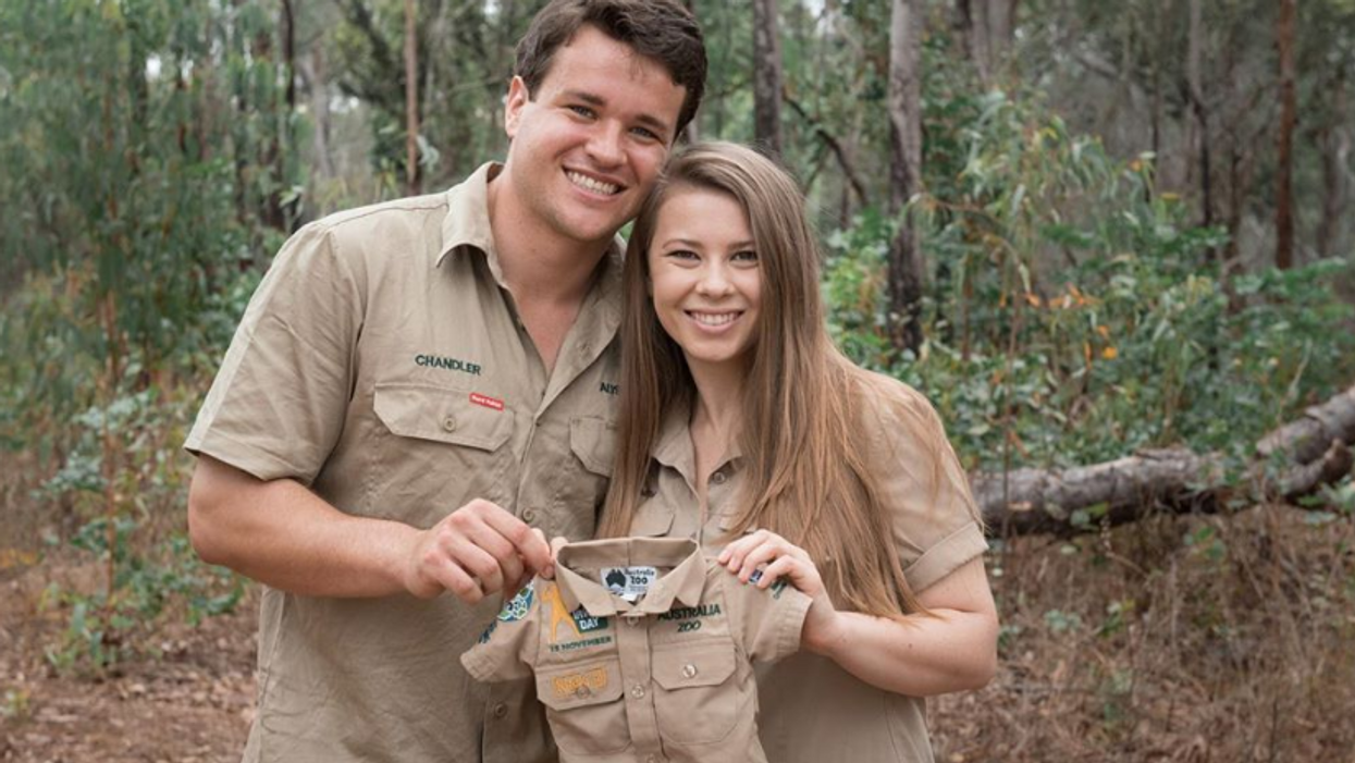 It's Official: Bindi Irwin Is Pregnant!