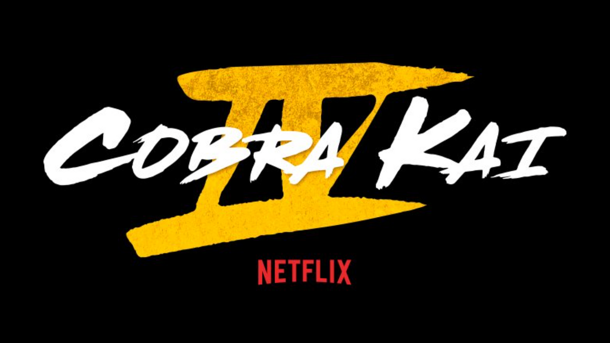 'Cobra Kai' Gets Renewed For A Fifth Season