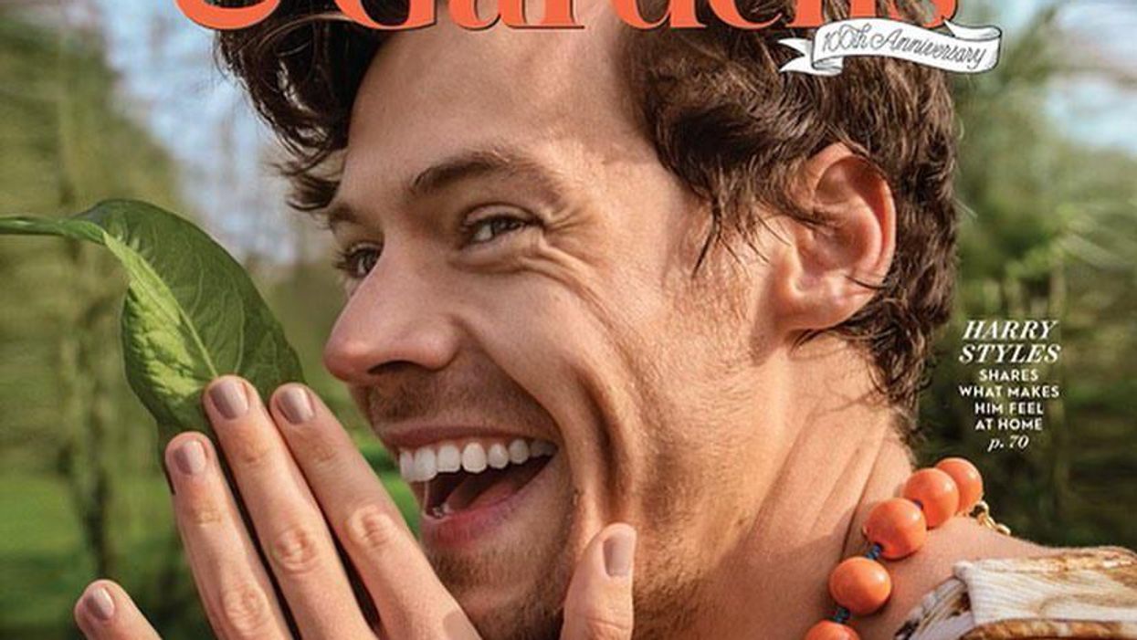 Harry Styles Opens Up About His Sexuality