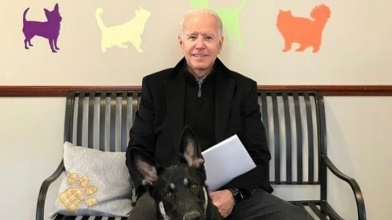 Joe Biden Suffers "Hairline Fractures" After Slipping While Playing With His Dog