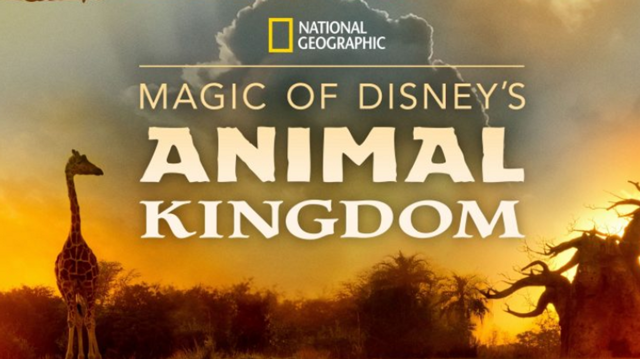 A New Disney+ Documentary Gives Fans An Inside Look At The Magic Of Animal Kingdom